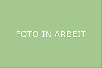 Platzhalter_Foto_in_Arbeit